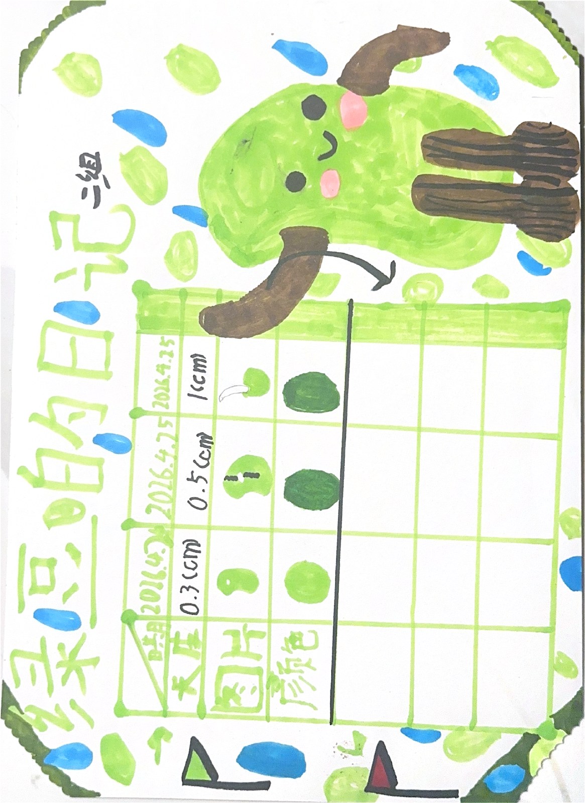 绿豆观察记录，小菠萝的扫描画作