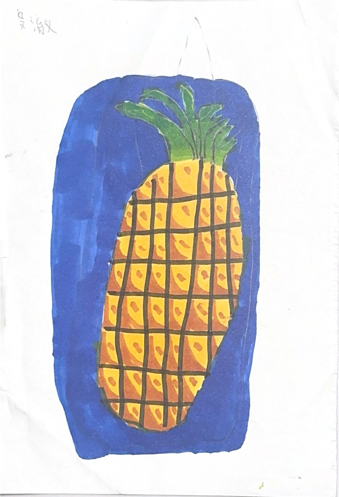 菠萝，小菠萝的扫描画作